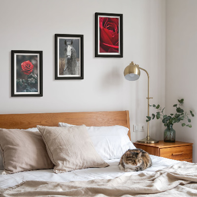 Juego de 3 cuadros decorativos Rosas rojas y un caballo en un entorno gris.