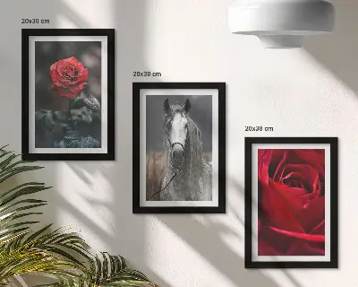Juego de 3 cuadros decorativos con diseño de rosas rojas y un caballo en un entorno gris