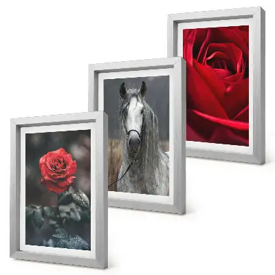 Juego de 3 cuadros decorativos con diseño de rosas rojas y un caballo en un entorno gris