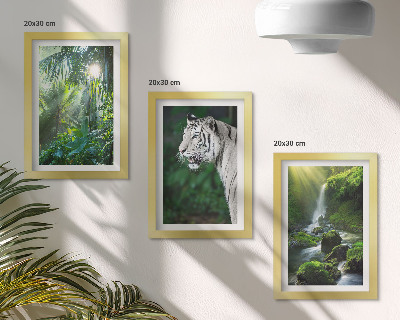 Tríptico enmarcado Selva con un tigre blanco y una cascada salvaje