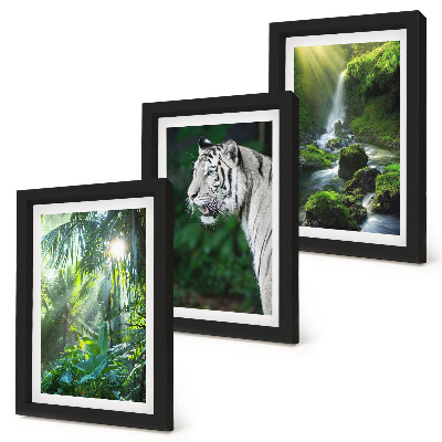 Tríptico enmarcado Selva con un tigre blanco y una cascada salvaje
