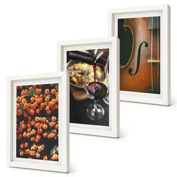 Juego de 3 cuadros decorativos con diseño de flores románticas vintage, vino y violín