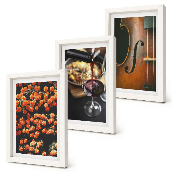 Juego de 3 cuadros decorativos Flores románticas vintage, vino y violín