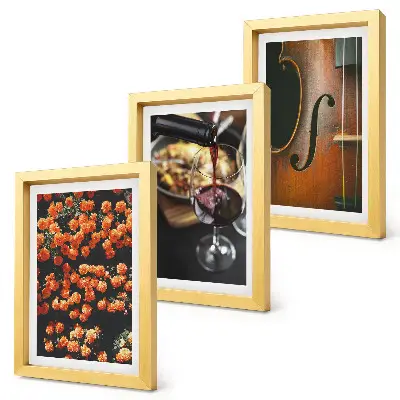 Juego de 3 cuadros decorativos con diseño de flores románticas vintage, vino y violín