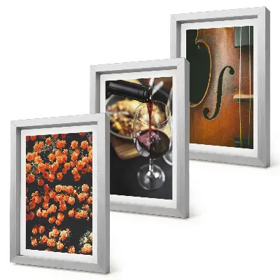 Juego de 3 cuadros decorativos con diseño de flores románticas vintage, vino y violín