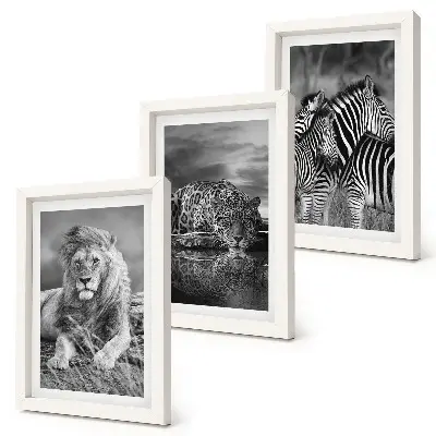 Juego de 3 cuadros decorativos con diseño de animales salvajes de la sabana león jaguar y cebra