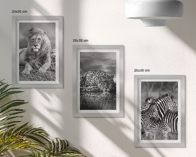 Juego de 3 cuadros decorativos Animales salvajes de la sabana: león, jaguar y cebra