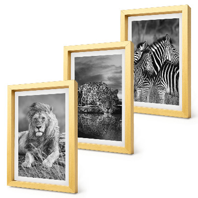 Juego de 3 cuadros decorativos Animales salvajes de la sabana: león, jaguar y cebra