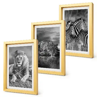 Juego de 3 cuadros decorativos con diseño de animales salvajes de la sabana león jaguar y cebra