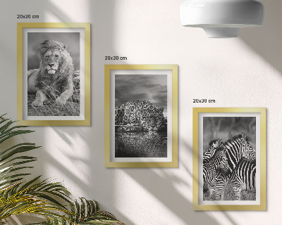 Juego de 3 cuadros decorativos Animales salvajes de la sabana: león, jaguar y cebra