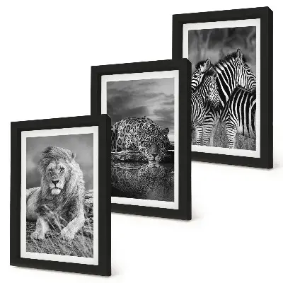 Juego de 3 cuadros decorativos con diseño de animales salvajes de la sabana león jaguar y cebra