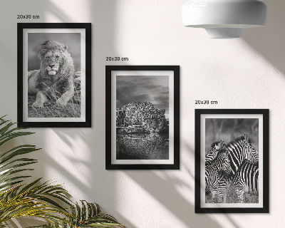 Juego de 3 cuadros decorativos Animales salvajes de la sabana: león, jaguar y cebra
