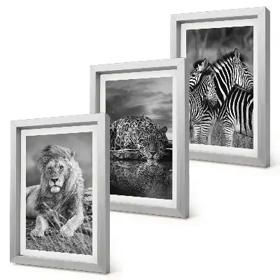 Juego de 3 cuadros decorativos con diseño de animales salvajes de la sabana león jaguar y cebra