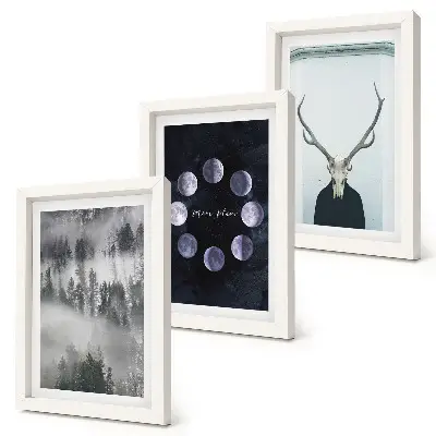 Juego de 3 cuadros decorativos con diseño de paisaje forestal en la niebla, fases lunares y cráneo de ciervo