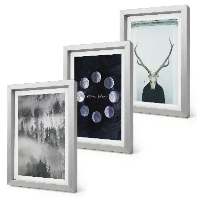 Juego de 3 cuadros decorativos con diseño de paisaje forestal en la niebla, fases lunares y cráneo de ciervo