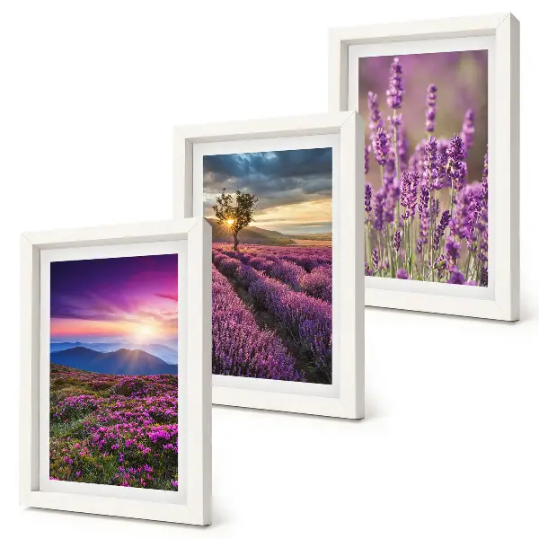 Juego de 3 cuadros decorativos con paisaje de campos de lavanda y puesta de sol