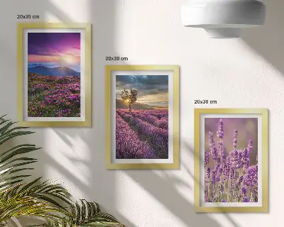 Juego de 3 cuadros decorativos con paisaje de campos de lavanda y puesta de sol