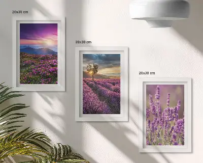 Juego de 3 cuadros decorativos con paisaje de campos de lavanda y puesta de sol