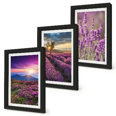 Juego de 3 cuadros decorativos con paisaje de campos de lavanda y puesta de sol