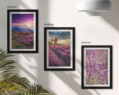Juego de 3 cuadros decorativos con paisaje de campos de lavanda y puesta de sol