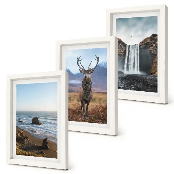Juego de 3 cuadros decorativos con paisajes de montaña, cascada, ciervo y playa