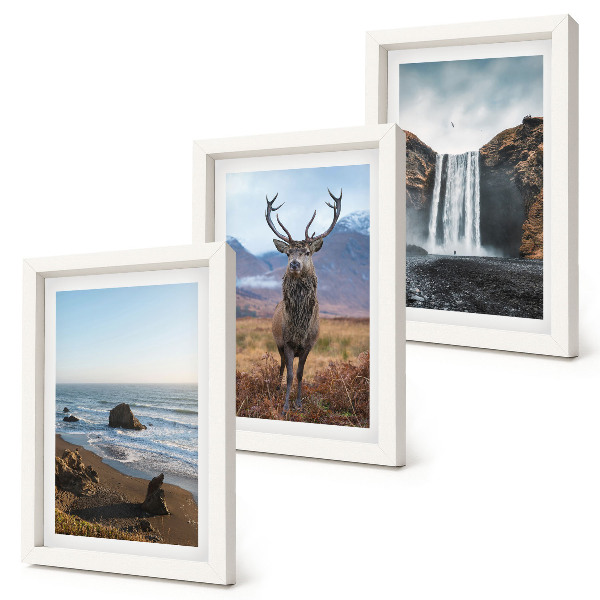 Juego de 3 cuadros decorativos Paisajes de montaña con una cascada, un ciervo y una playa.