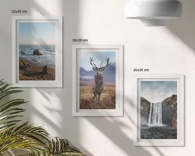 Juego de 3 cuadros decorativos con paisajes de montaña, cascada, ciervo y playa