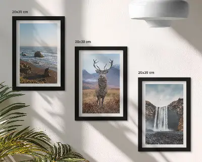 Juego de 3 cuadros decorativos con paisajes de montaña, cascada, ciervo y playa