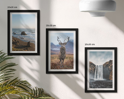 Juego de 3 cuadros decorativos Paisajes de montaña con una cascada, un ciervo y una playa.