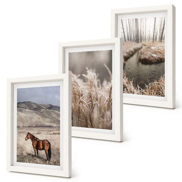 Juego de 3 cuadros decorativos Caballos en un paisaje de prados y un arroyo invernal.