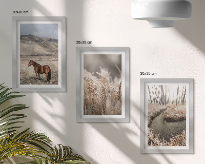 Juego de 3 cuadros decorativos Caballos en un paisaje de prados y un arroyo invernal.