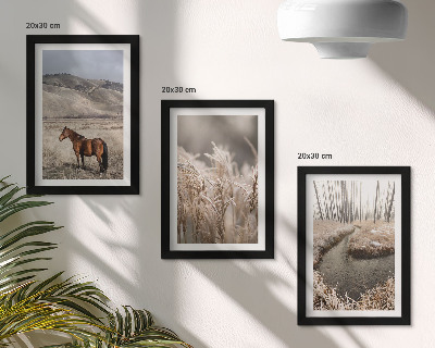 Juego de 3 cuadros decorativos Caballos en un paisaje de prados y un arroyo invernal.