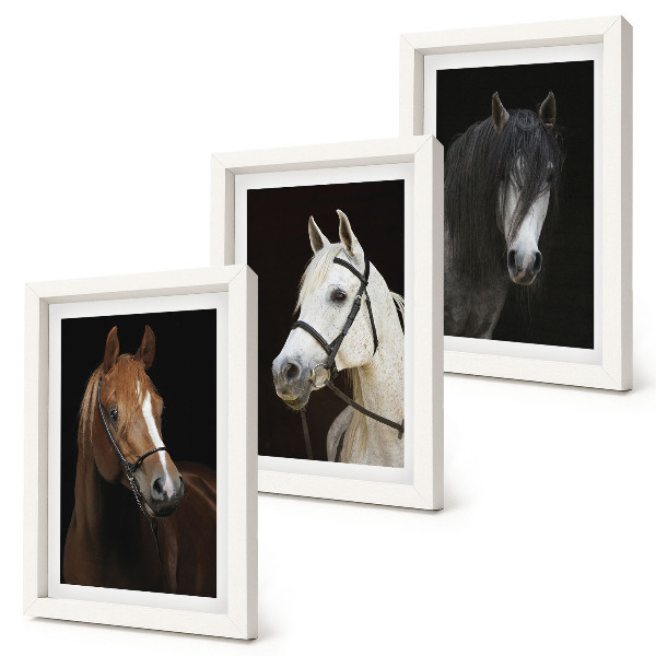 Tríptico enmarcado Retratos de caballos en diferentes tonalidades de pelaje.