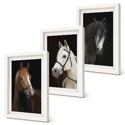Tríptico enmarcado Retratos de caballos en diferentes tonalidades de pelaje.