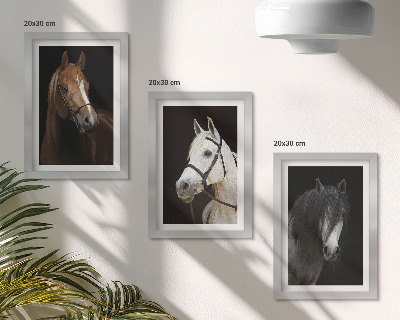 Tríptico enmarcado Retratos de caballos en diferentes tonalidades de pelaje.