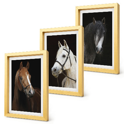 Tríptico enmarcado Retratos de caballos en diferentes tonalidades de pelaje.