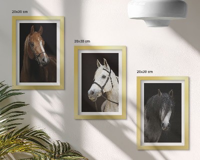 Tríptico enmarcado Retratos de caballos en diferentes tonalidades de pelaje.