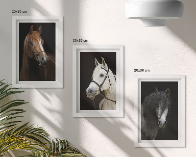 Tríptico enmarcado Retratos de caballos en diferentes tonalidades de pelaje.