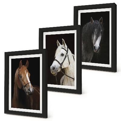Tríptico enmarcado Retratos de caballos en diferentes tonalidades de pelaje.