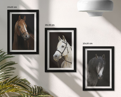 Tríptico enmarcado Retratos de caballos en diferentes tonalidades de pelaje.