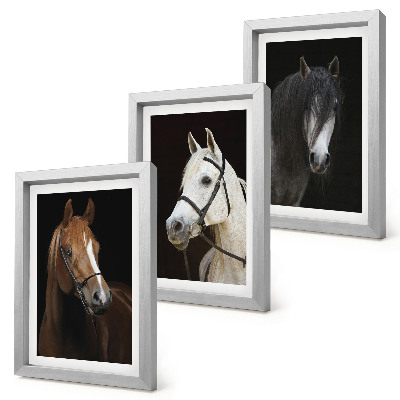 Tríptico enmarcado Retratos de caballos en diferentes tonalidades de pelaje.