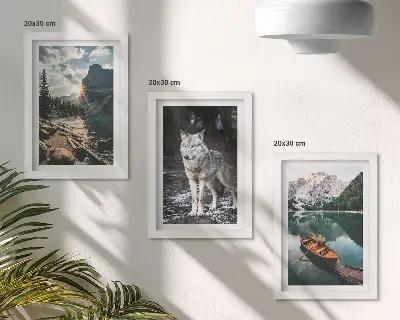 Juego de 3 cuadros decorativos con diseño de montañas, lagos y un lobo en un entorno natural