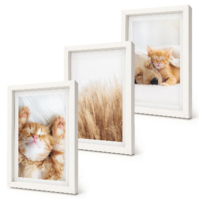 Tríptico enmarcado Animales lindos gatos perros hierba delicada boho