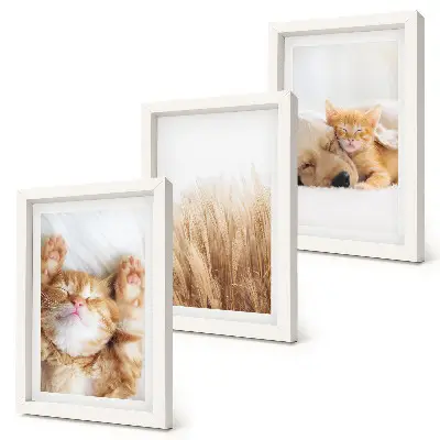 Tríptico enmarcado con animales lindos como gatos y perros entre hierba delicada de estilo boho