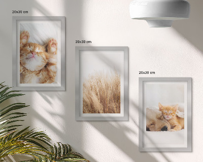 Tríptico enmarcado Animales lindos gatos perros hierba delicada boho