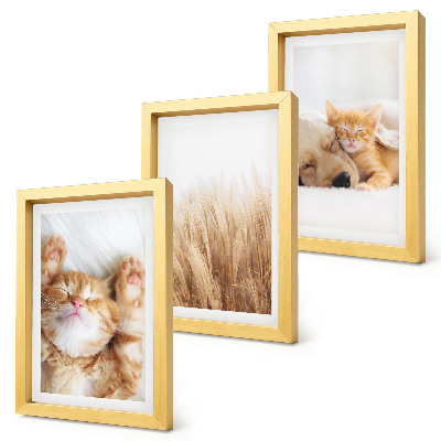 Tríptico enmarcado Animales lindos gatos perros hierba delicada boho