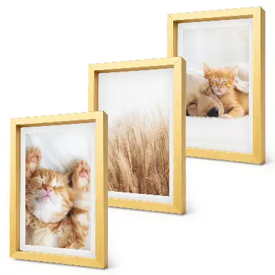 Tríptico enmarcado con animales lindos como gatos y perros entre hierba delicada de estilo boho