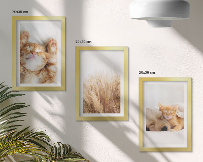 Tríptico enmarcado Animales lindos gatos perros hierba delicada boho