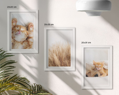 Tríptico enmarcado Animales lindos gatos perros hierba delicada boho