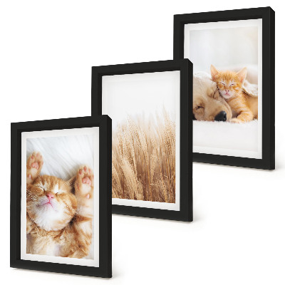 Tríptico enmarcado Animales lindos gatos perros hierba delicada boho